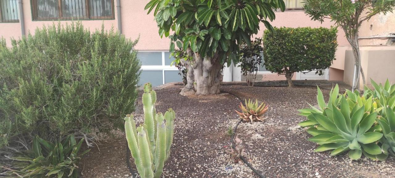 Acapulco Paradise Playa Feñabe Екстериор снимка