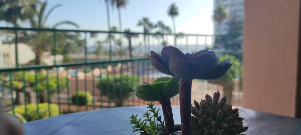 Acapulco Paradise Playa Feñabe Екстериор снимка