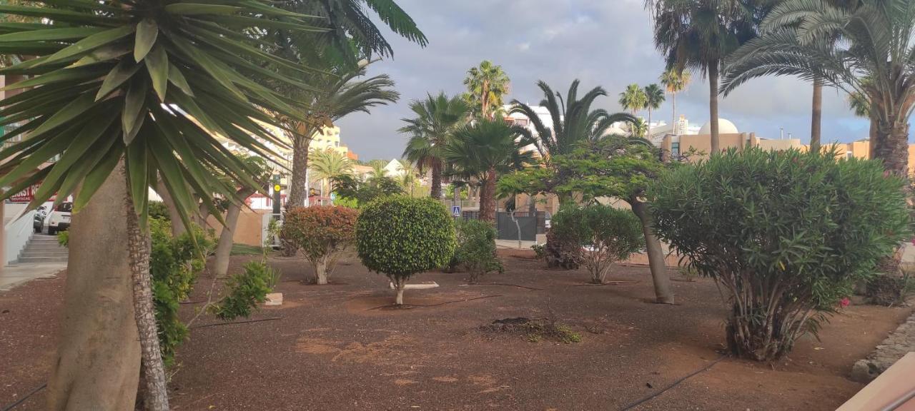 Acapulco Paradise Playa Feñabe Екстериор снимка